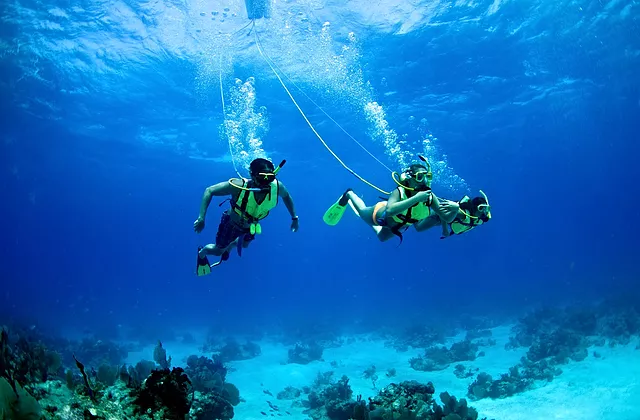 DSC_5818_jpg 2014-10-8-13_38_58