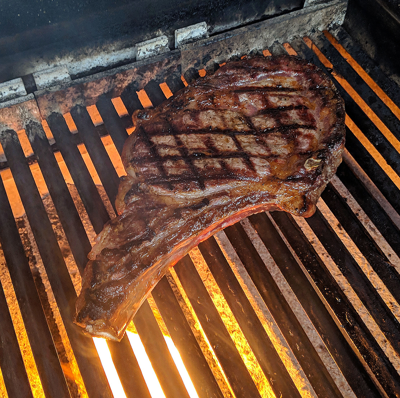 DiGiorgiosCafeLargo Dry Ribeye Grill