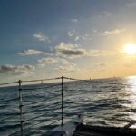 Echo Catamaran Sunset Cruise