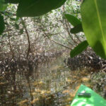 FloridaKeysKayak&Paddleboard