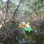 FloridaKeysKayak&Paddleboard1