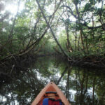 FloridaKeysKayak&Paddleboard2