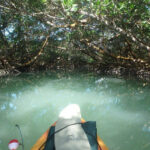FloridaKeysKayak&Paddleboard3