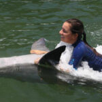 FloridaKeysSwimWithDolphins