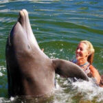 FloridaKeysSwimWithDolphins2