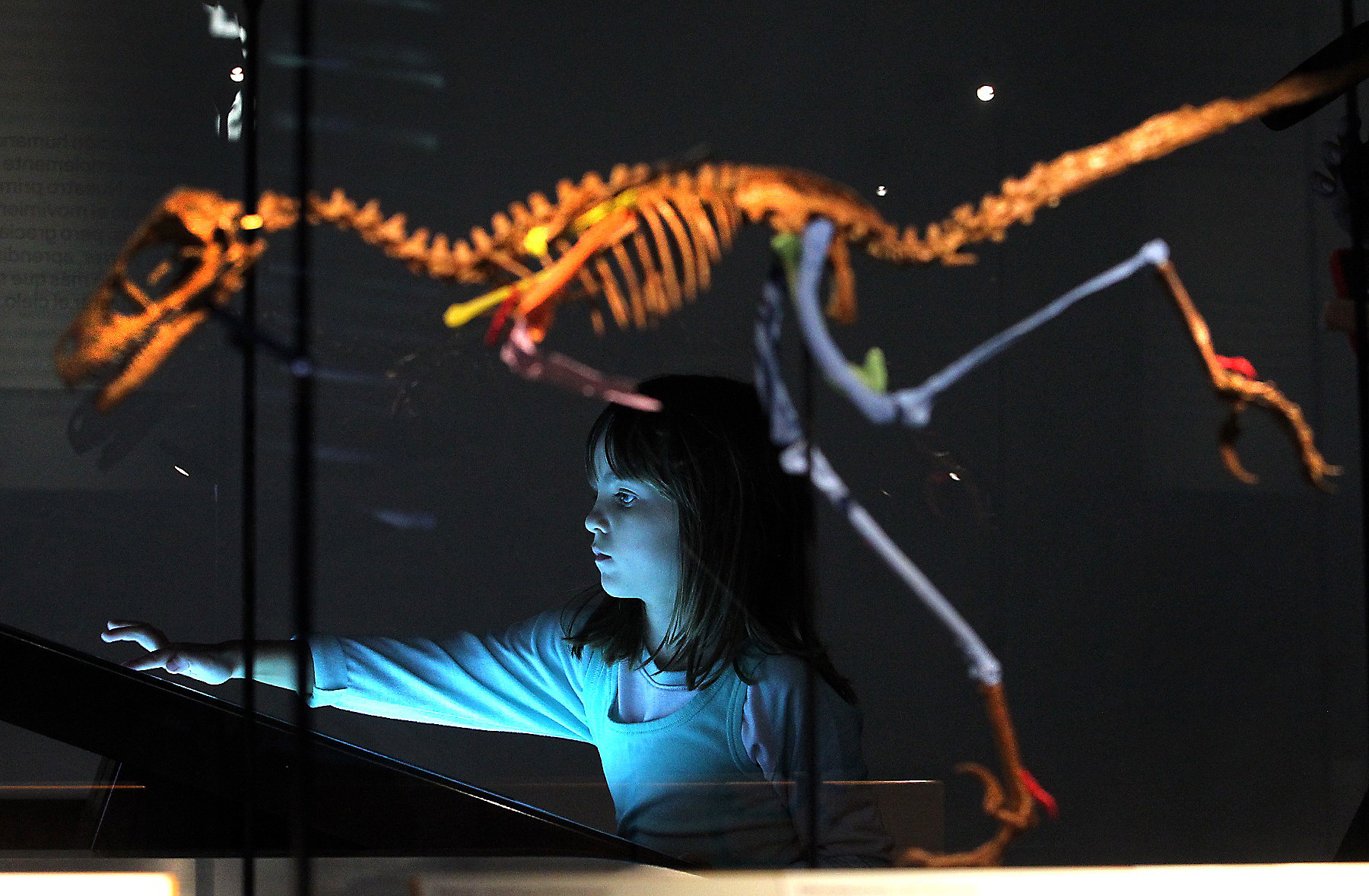 Amelie Castagna 7 plays an interactive game in the Feathers to the Stars exhibit during the long-awaited opening of the Phillip and Patricia Frost Museum of Science on Sunday, May 7, 2017.