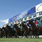 Gulfstream Starting Gate
