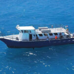 GulfstreamFishing_IMG_8162