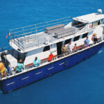 GulfstreamFishing_Main