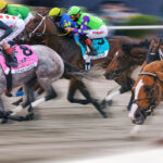 Gulfstream_HorsesRunning