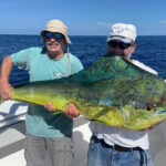 HistoricSeaport_Dolphin