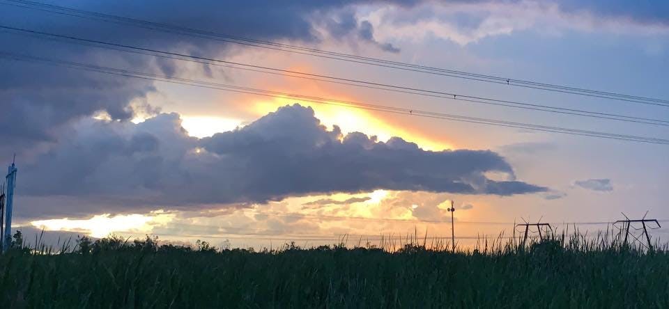 Everglades Airboat Excursions