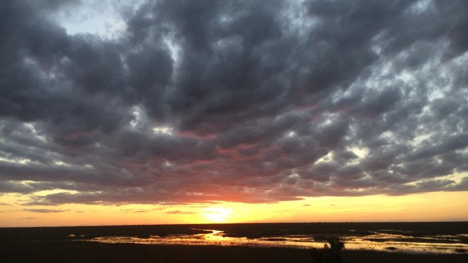 Everglades Airboat Excursions