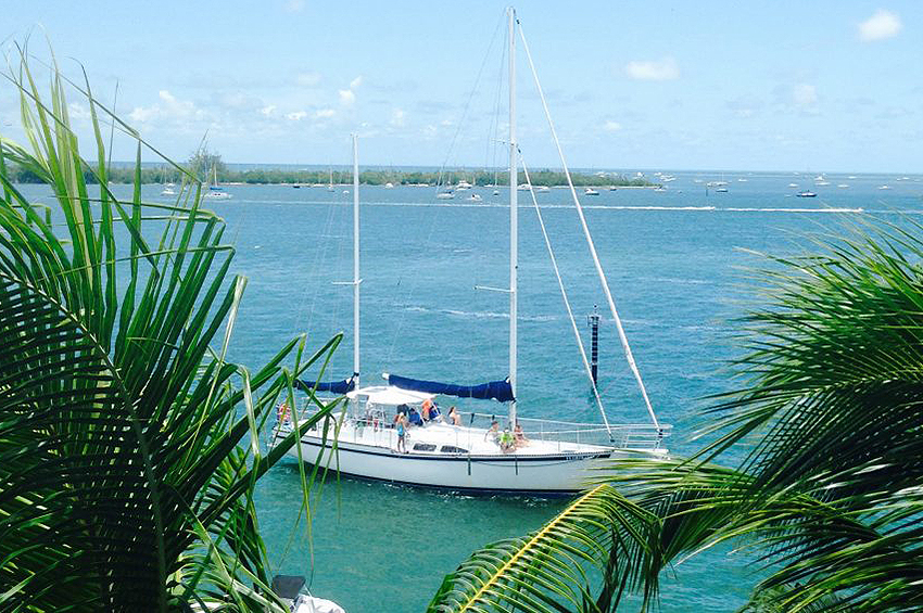 IslandJane_Floridays_IMG_2487_Crop