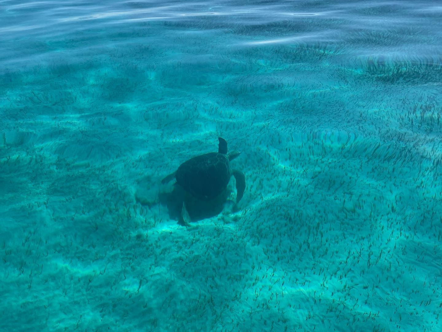 IslanderGirlSandbar3