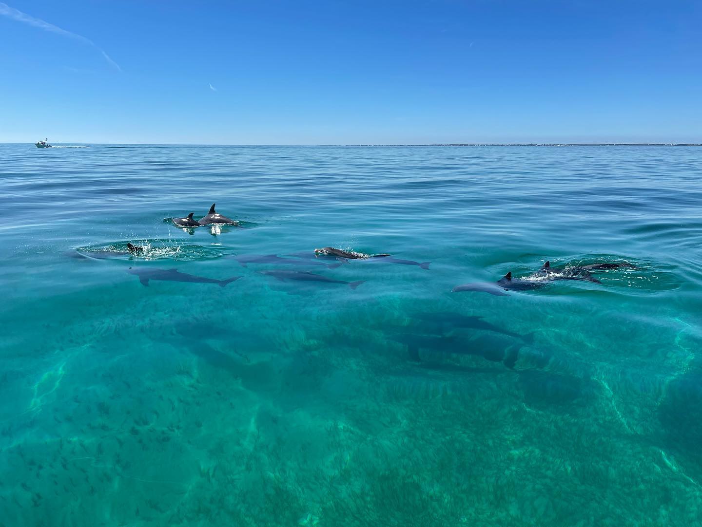 IslanderGirlSandbar4