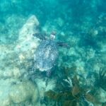 IslanderGirlSnorkel13