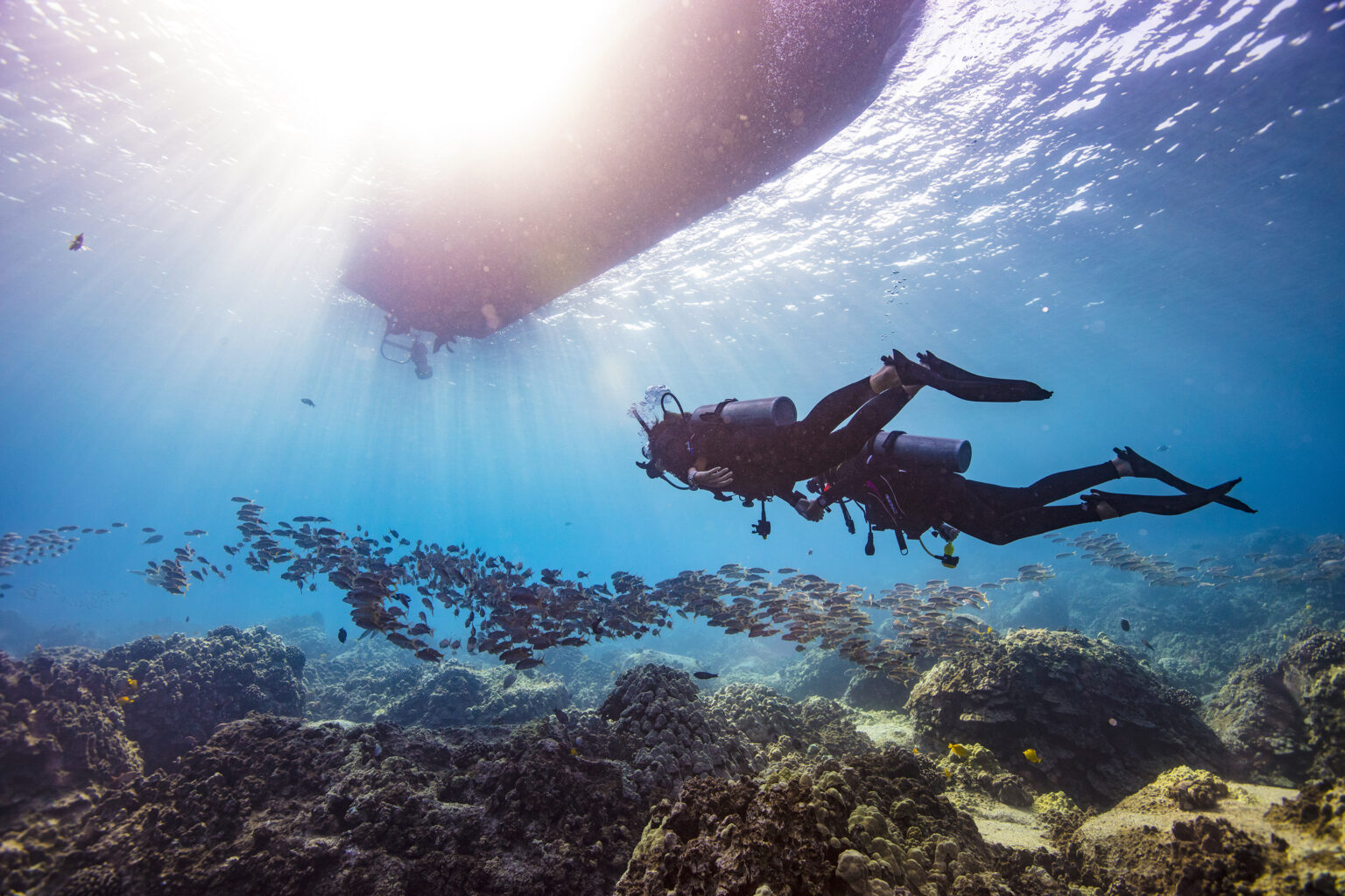 HANDOUT PHOTODivers underwater in Hawaii. (Courtesy of PADI)