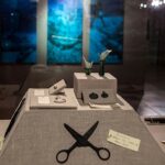 MFMM-Science-of-Shipwrecks-568x352