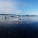 Mangroves-and-manatees-eco-tour-image-2