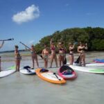 Mangroves-and-manatees-eco-tour-image-3