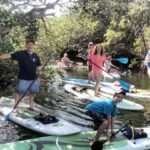 Mangroves-and-manatees-eco-tour-image-5