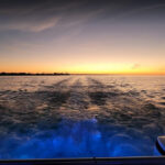 MarathonMermaidCharters5