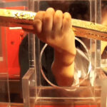 MelFisher_zarella.gold