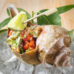 MomosanWynwood-051_Conch2