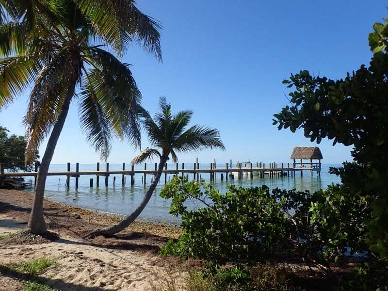 Pigeon-Key-GalleryPB100263