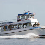 Robbie'sOfIslamorada7