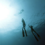 Screen+Shot+2020-10-19+at+1.31.24+PM