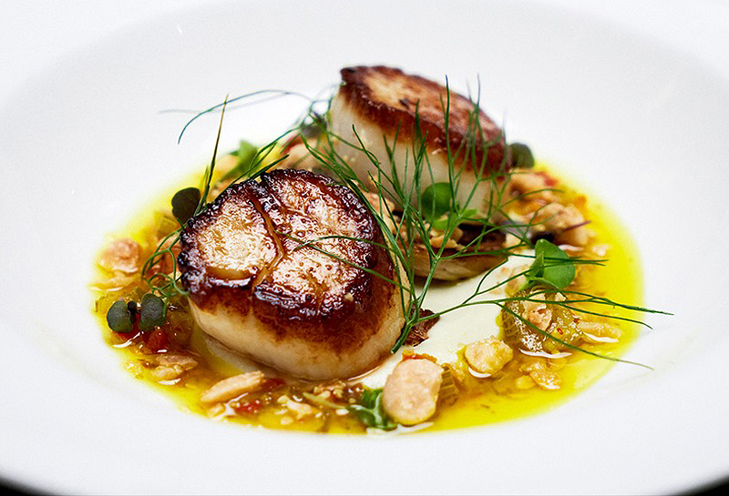 Steak954_Scallops_Crop