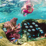 SundiverSnorkelTours