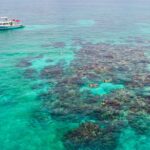 SundiverSnorkelTours5