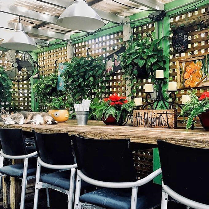 TheAlchemist_Outdoor