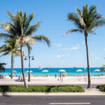 WildThyme OceansideEatery