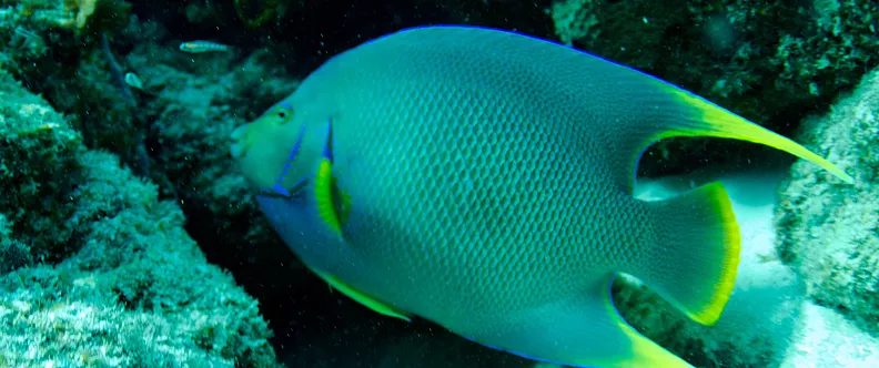 ae69fc_6f17dd85b48d46929ff71eacb72a7e43