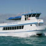 key-largo-princess-glass