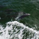 key-largo-princess-glass-3