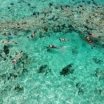 key-west-best-reef-snorkel-2