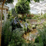 p-Butterfly-Conservatory-Pans-Bridge--1-6x9x72_55_660x440_201405311421