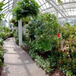 p-Butterfly-Conservatory-Pans-Entrance-Walk--1-6x10x72_55_660x440_201405311421