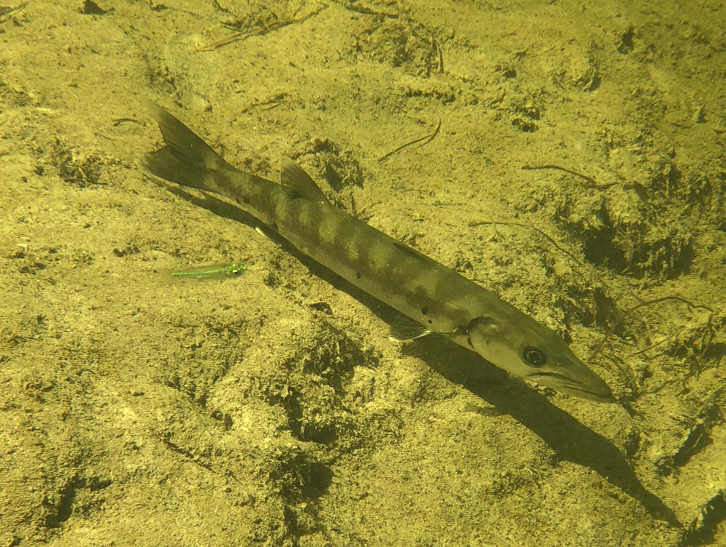 paddlethefloridakeys6