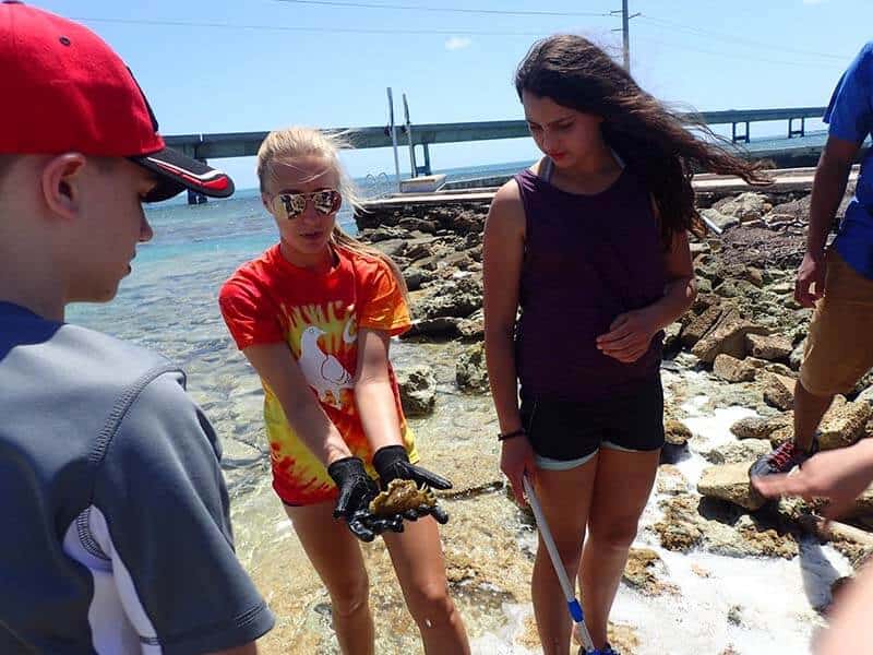 pigeon-key-interns1-800-600