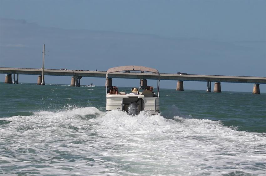 sanibel_stern-2387336