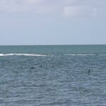 two_pontoons-2385766