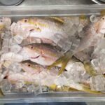 Shipwrecks Bar & Grill