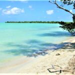 CaptainStewysCharters2