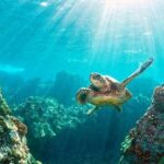 CaptainStewysCharters8